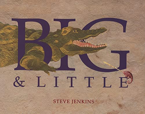 Big & little Cover