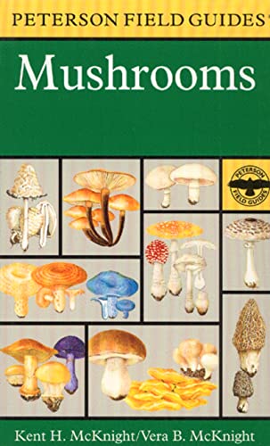A Field Guide to Mushrooms Cover