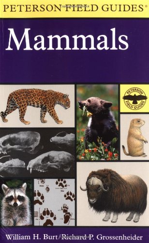 A field guide to the mammals Cover