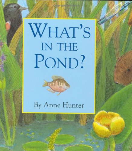 What's in the pond? Cover