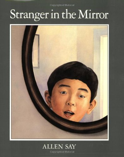Stranger in the Mirror Cover