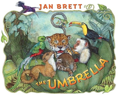 The umbrella Cover