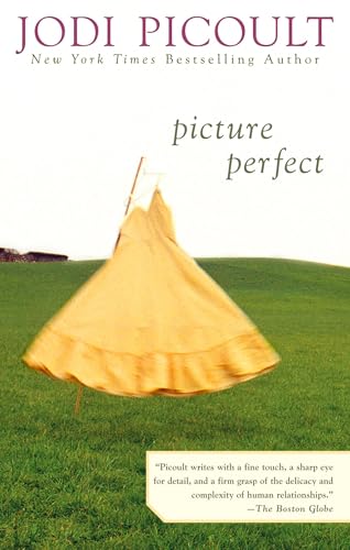 Picture perfect Cover