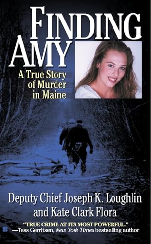 Finding Amy Cover