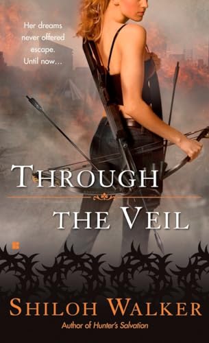 Through the Veil Cover