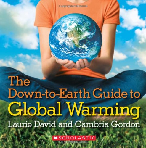 The down-to-earth guide to global warming Cover