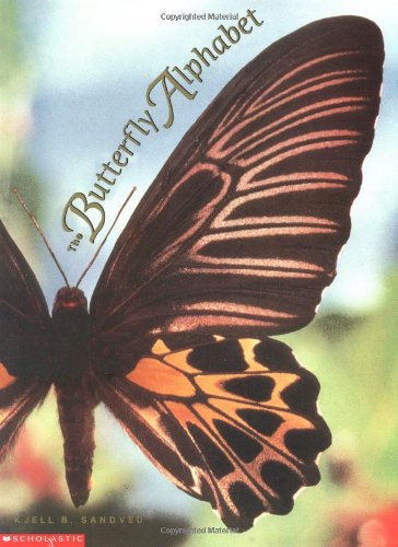 The butterfly alphabet Cover