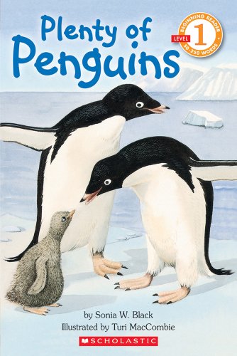 Plenty of penguins Cover
