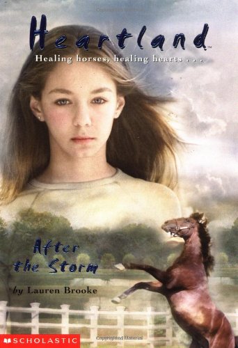 After the Storm Cover
