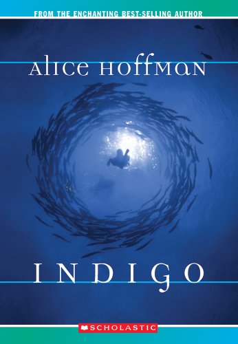 Indigo Cover