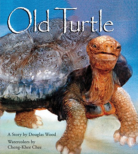 Old Turtle Cover