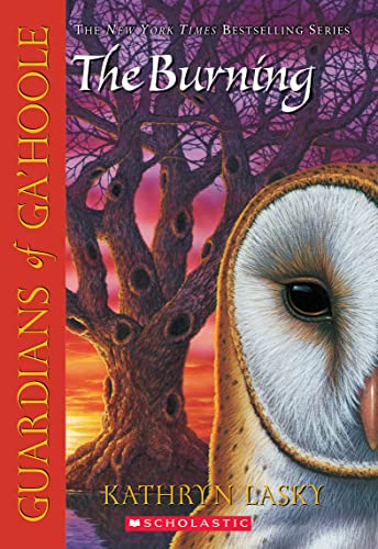 The burning Cover