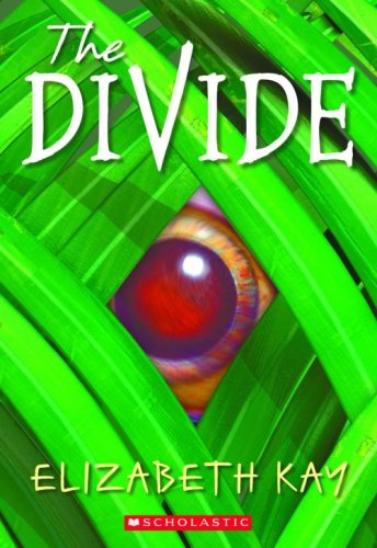 The Divide Cover