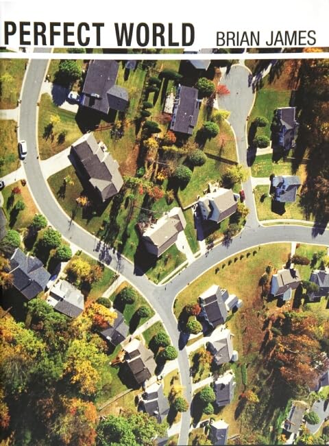 Perfect World Cover