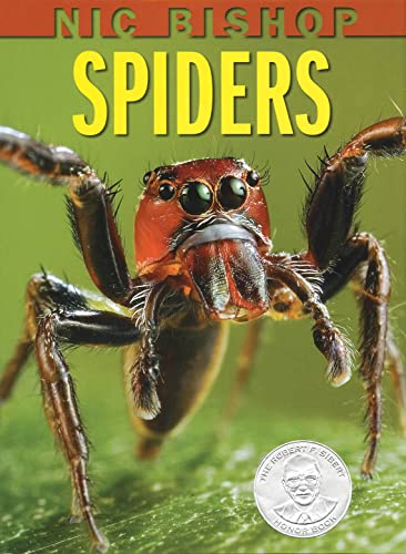Nic Bishop Spiders Cover