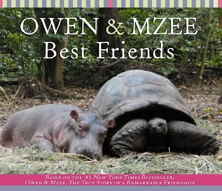 Best Friends (Owen And Mzee) Cover