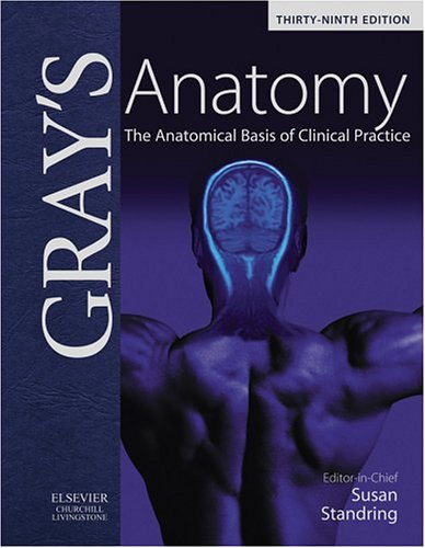 Gray's Anatomy Cover