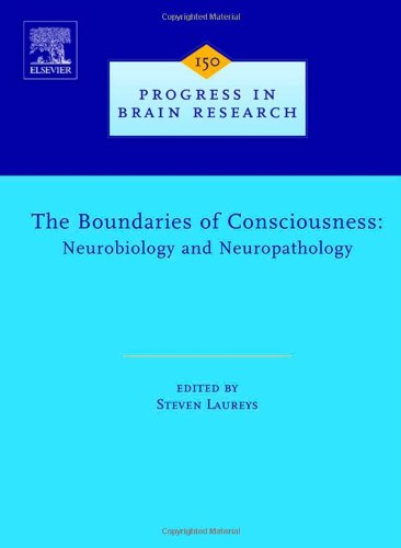 The Boundaries of Consciousness Cover