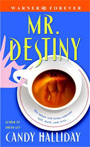 Mr. Destiny Cover