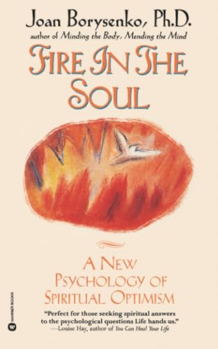 Fire in the Soul Cover