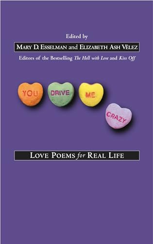 You drive me crazy Cover