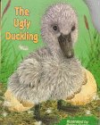 The ugly duckling Cover