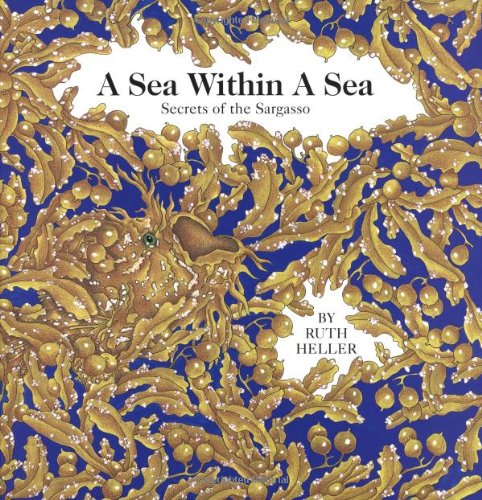 A sea within a sea Cover