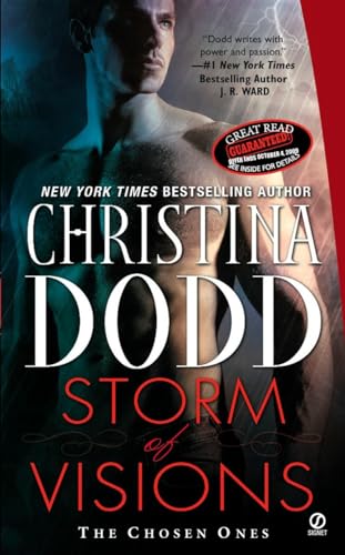 Storm of visions Cover