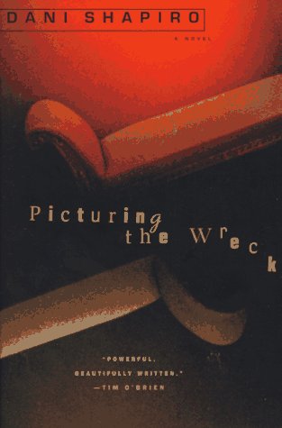 Picturing the wreck Cover