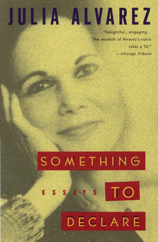 Something to declare Cover
