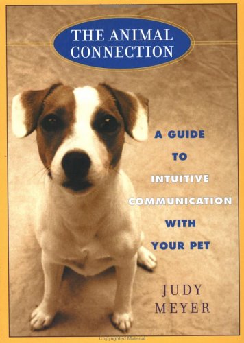 Animal Connection, The Cover