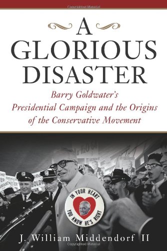 A Glorious Disaster Cover