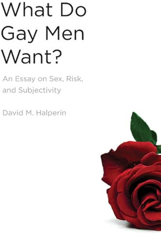 What Do Gay Men Want? Cover