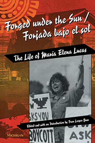 Forged under the sun Cover