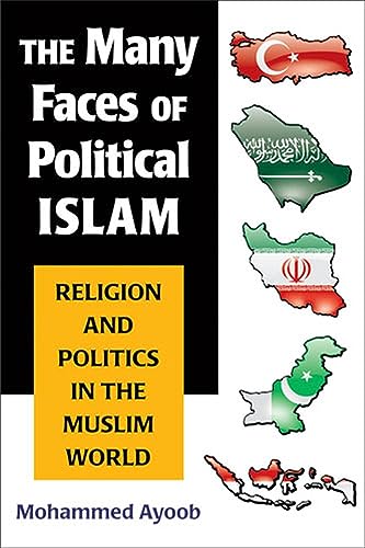 The Many Faces of Political Islam Cover