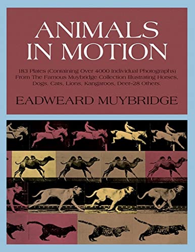 Animals in motion Cover