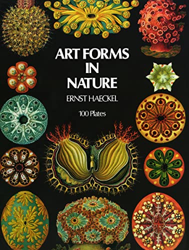 Art forms in nature. Cover