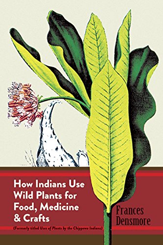 How Indians use wild plants for food, medicine, and crafts. Cover