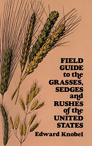 Field guide to the grasses, sedges and rushes of the United States Cover