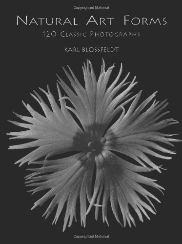 Natural art forms Cover