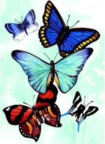 Butterfly Notebook Cover