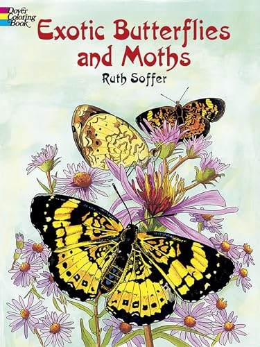 Exotic Butterflies and Moths Cover