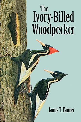 The Ivory-Billed Woodpecker Cover