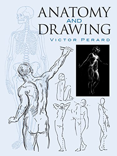 Anatomy and drawing Cover