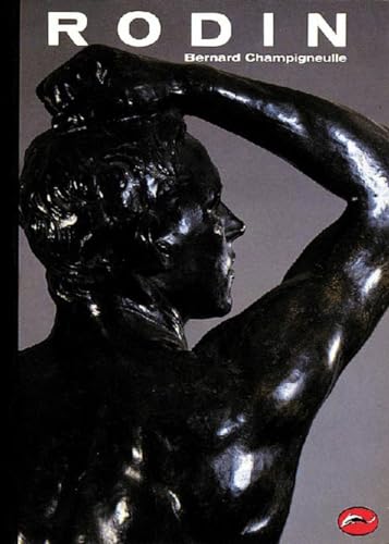 Rodin Cover