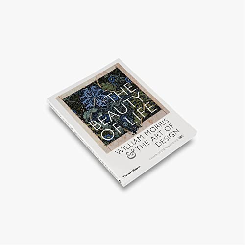 "The beauty of life" Cover
