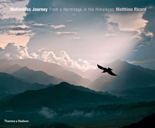 Motionless Journey Cover