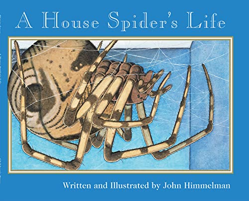 A House Spider’s Life Cover