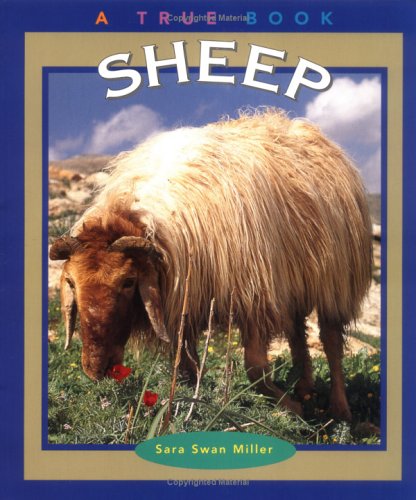 Sheep Cover