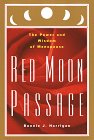 Red moon passage Cover
